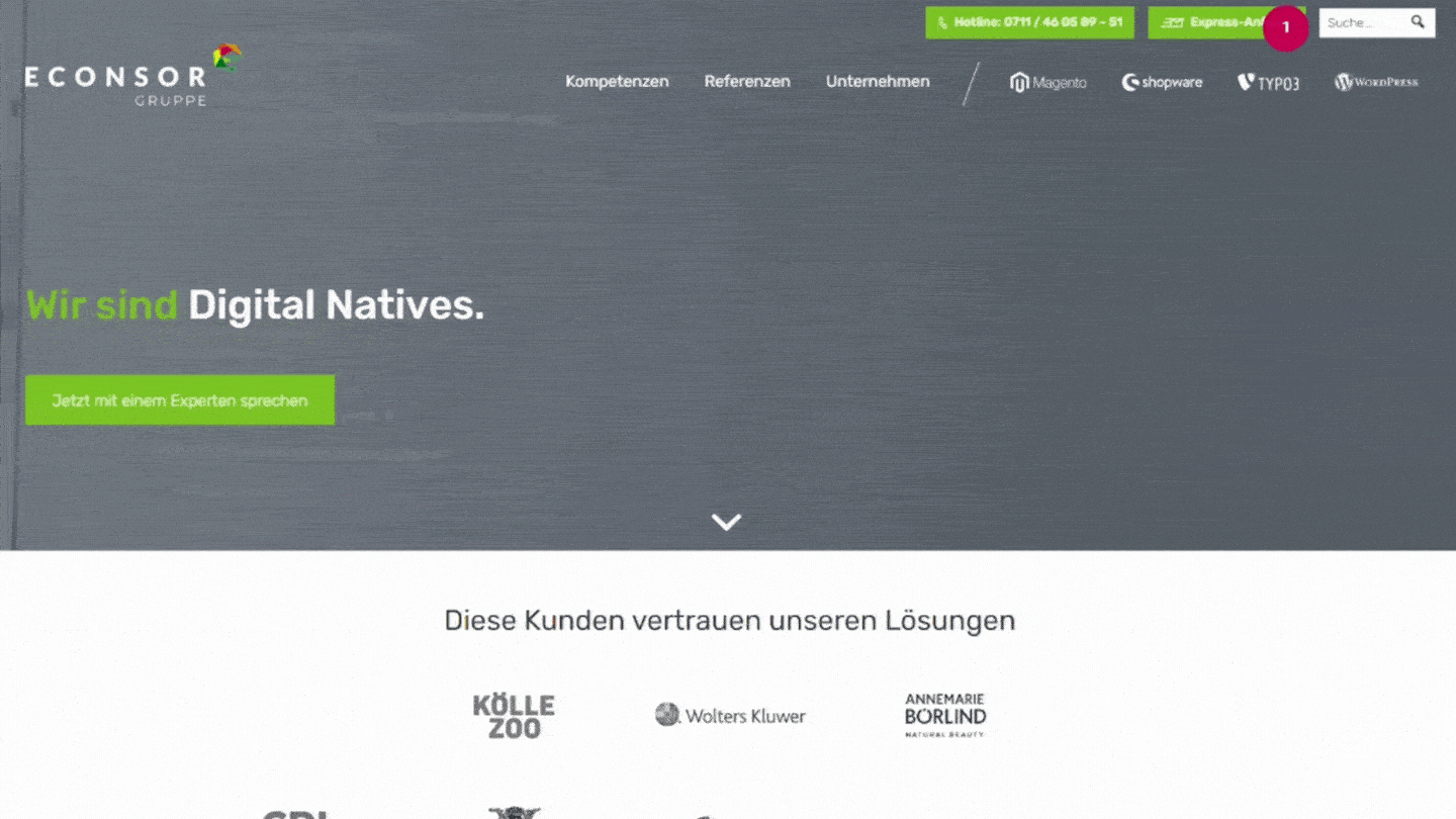 econsor-arbeiten-mit-invision