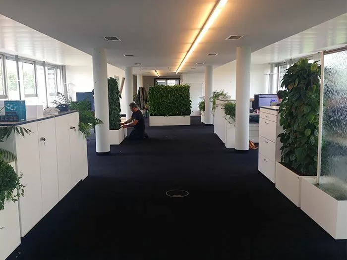 Umzug innerhalb Stuttgarts Sliderbild 8 Eine Internetagentur wächst