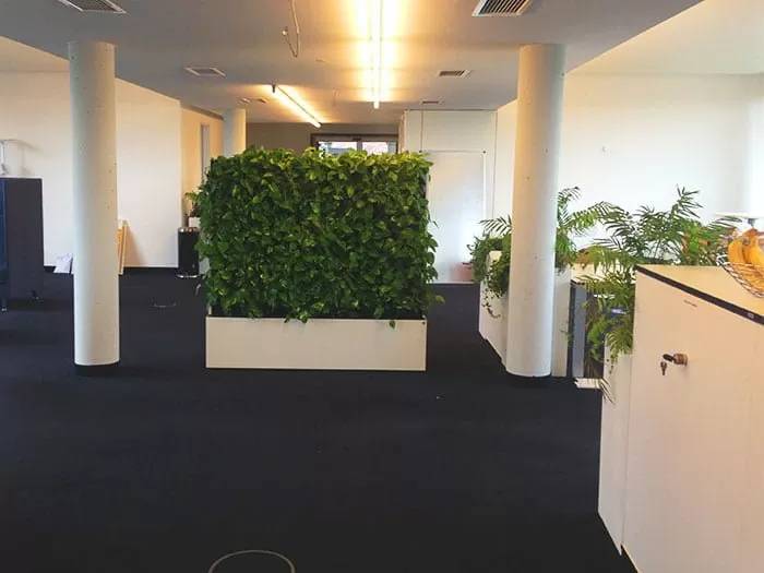 Umzug innerhalb Stuttgarts Sliderbild 9 Eine Internetagentur wächst