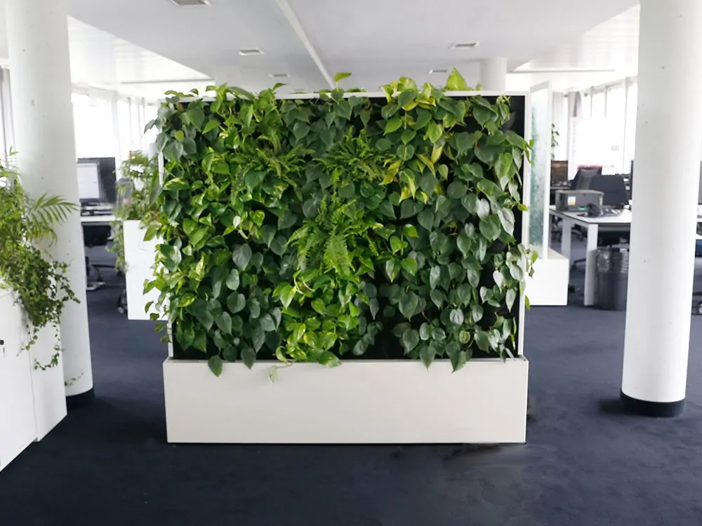 art-aqua-bei-econsor-sliderbild 6 Büros unserer Internetagentur in Stuttgart und Heilbronn