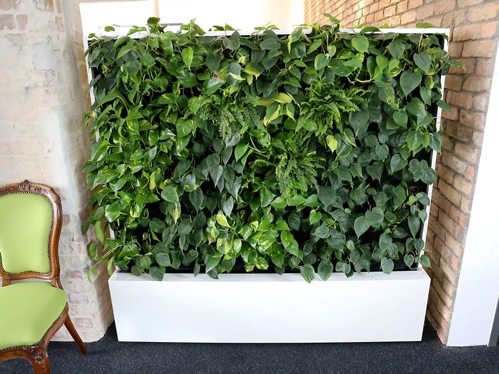 art-aqua-bei-econsor-sliderbild 5 Büros unserer Internetagentur in Stuttgart und Heilbronn