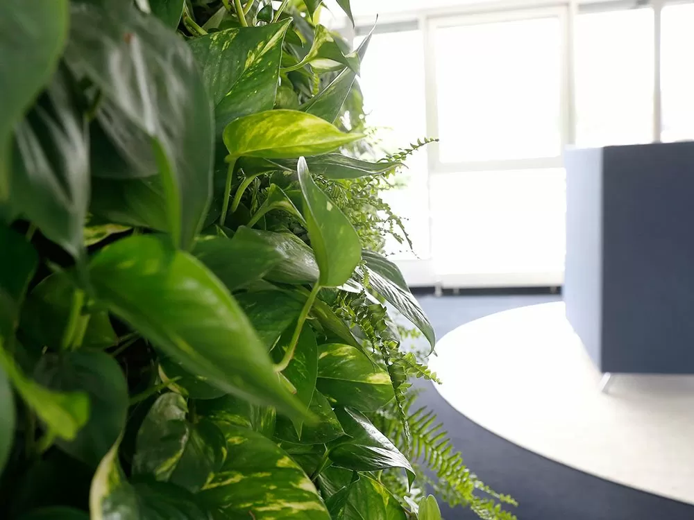 art-aqua-bei-econsor-sliderbild 7 Büros unserer Internetagentur in Stuttgart und Heilbronn