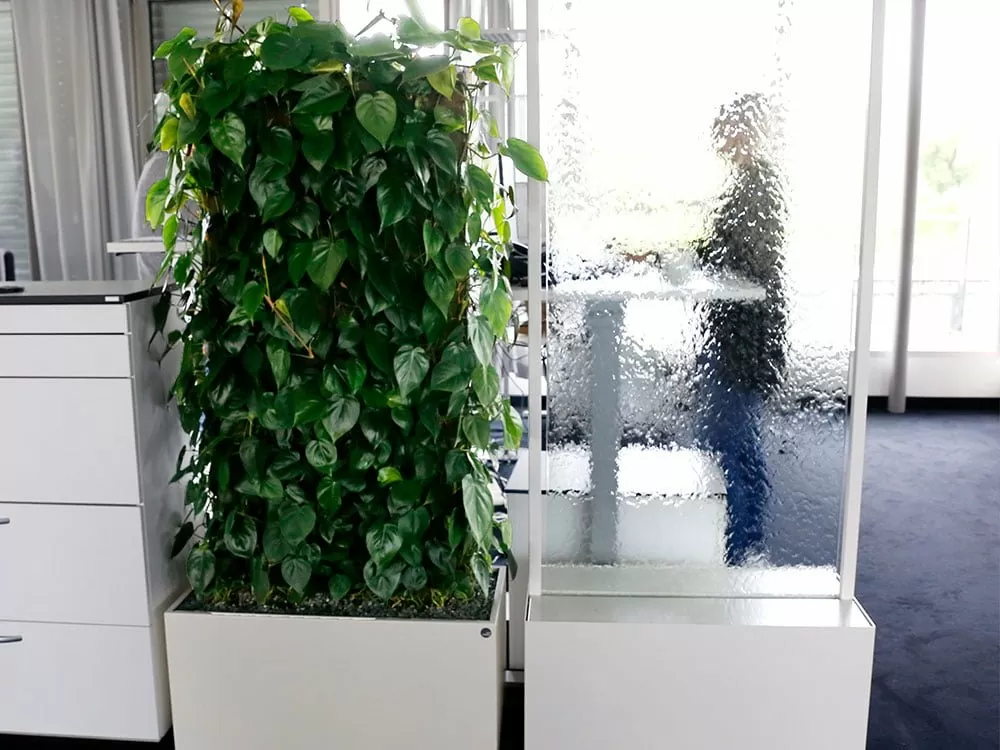 art-aqua-bei-econsor-sliderbild 8 Büros unserer Internetagentur in Stuttgart und Heilbronn