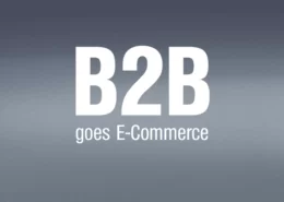 B2B-Online-Shops