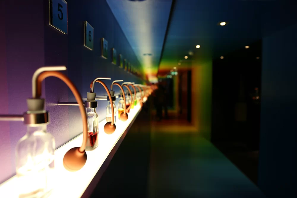 econsor Firmenausflug 2016 Sliderbild 4 Amsterdam 2016