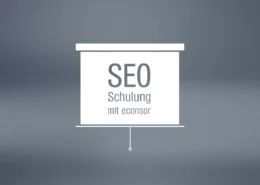 SEO-Agentur, IST-Analyse