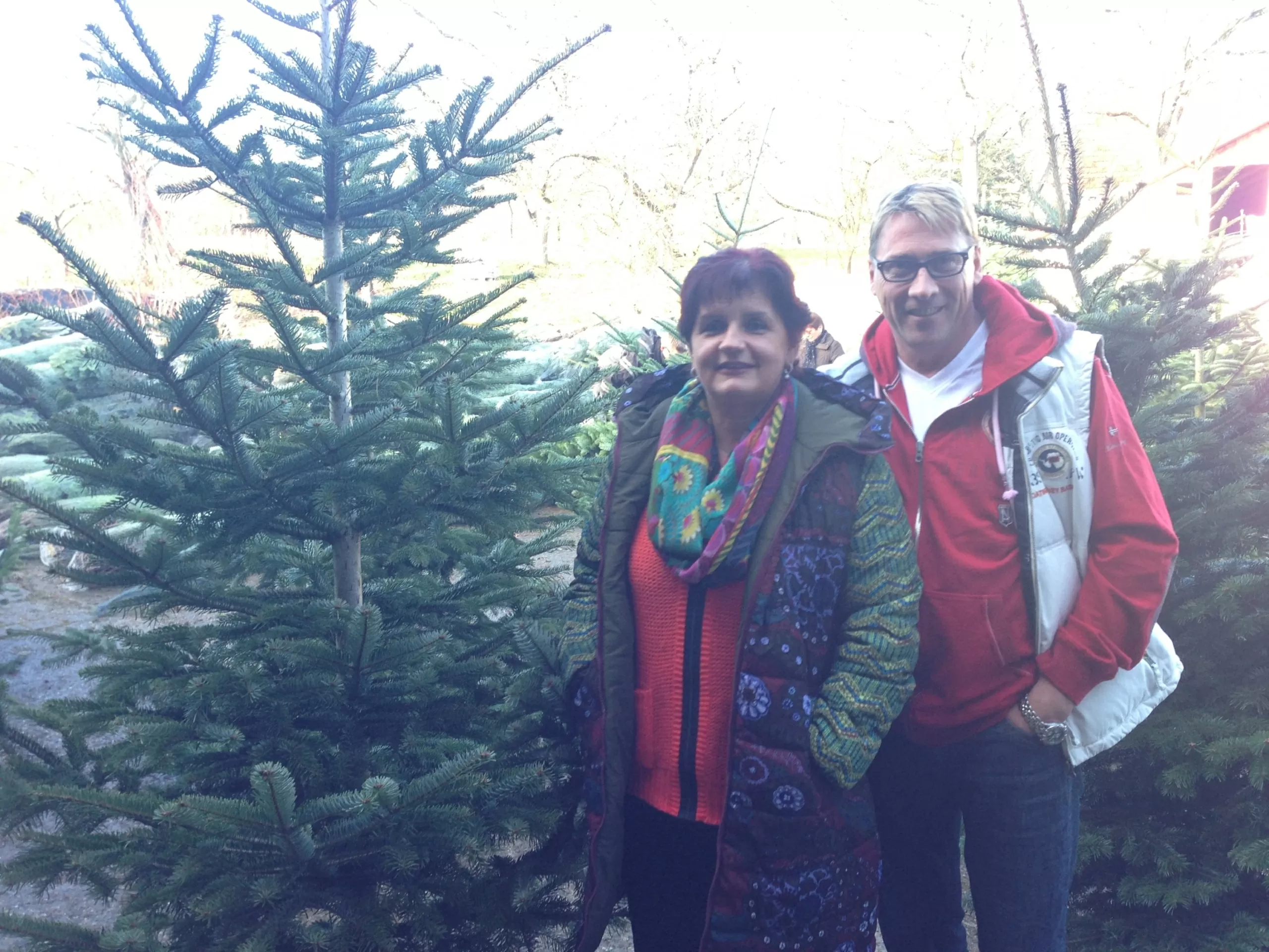 Weihnachtsbaumaktion-9 Weihnachtsbaumaktion