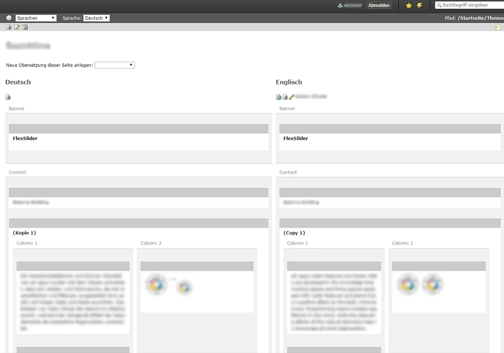 TYPO3-Erweiterung l10nmgr TYPO3-Erweiterung l10nmgr