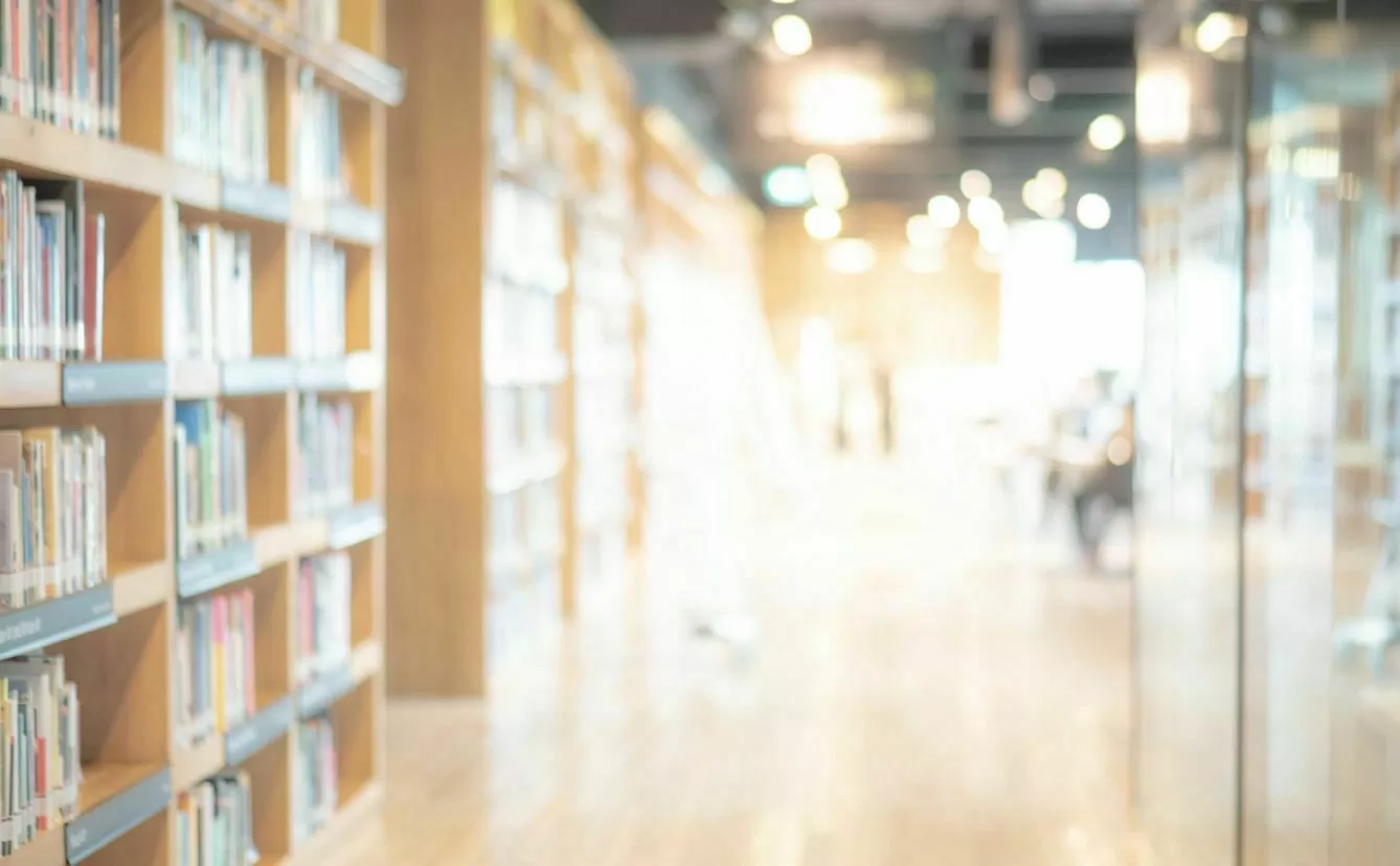 blue-ocean-buecher Bücher stehen in den Bücherregale