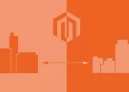 B2B-E-Commerce Studie