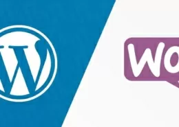 E-Commerce in WordPress: WooCommerce Plugin