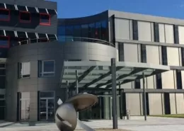 WordPress-Relaunch für Usability-Optimierung von Waldenburger