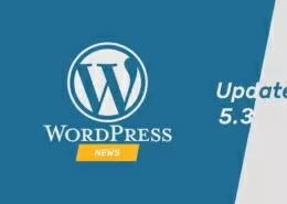 Update WordPress 5.3