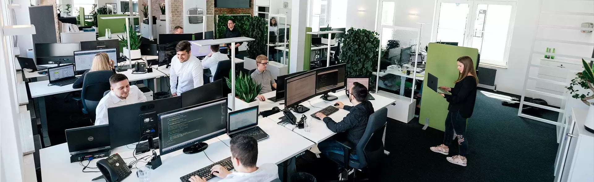 TYPO3-Agentur Ein Bild der TYPO3-Agentur