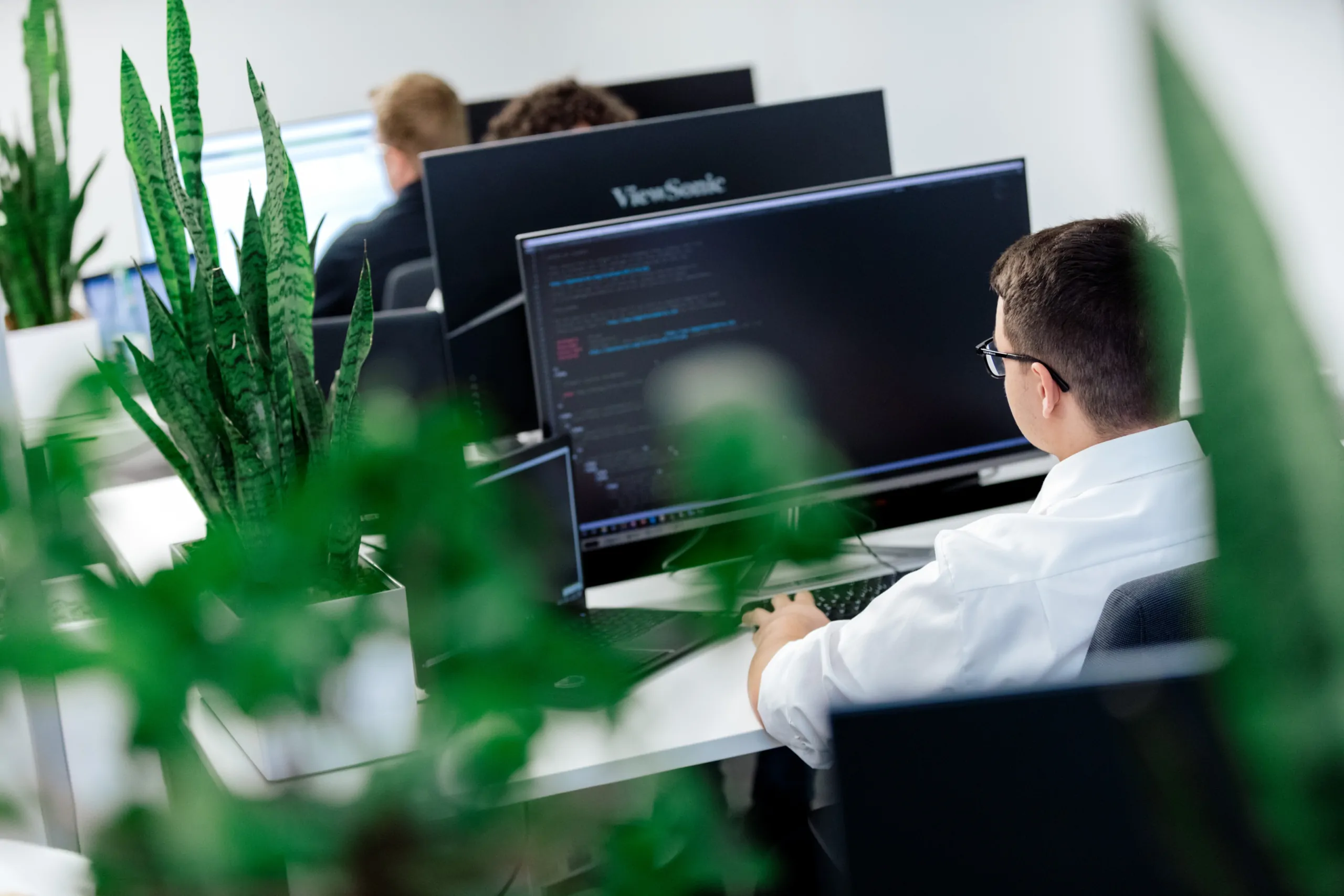 Pflanzen bei ECONSOR das Büro in Heidelberg