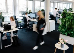 Büro der Internetagentur ECONSOR