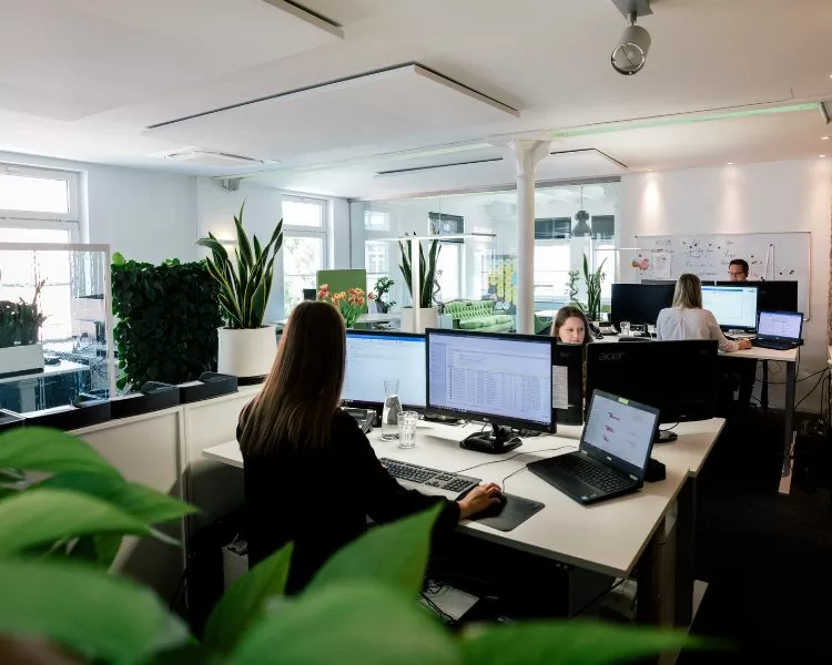 Online-Marketing-Agentur in Karlsruhe Online-Marketing-Agentur in Karlsruhe